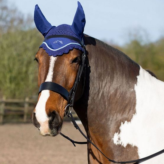Gallop Classic Fly Veil Navy
