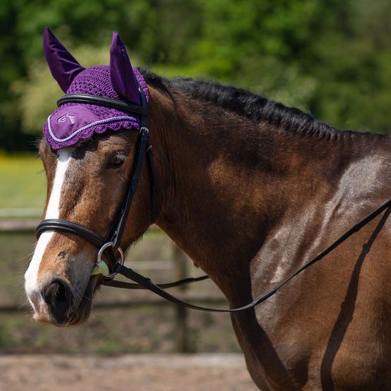 Gallop Classic Fly Veil Purple