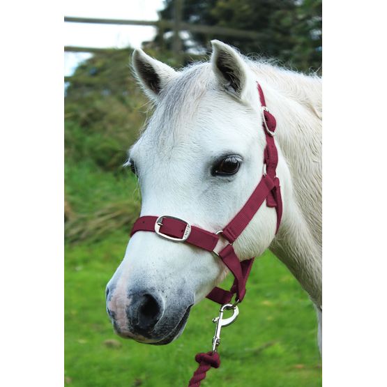 Gallop Headcollar &amp; Lead Rope Set Burgundy