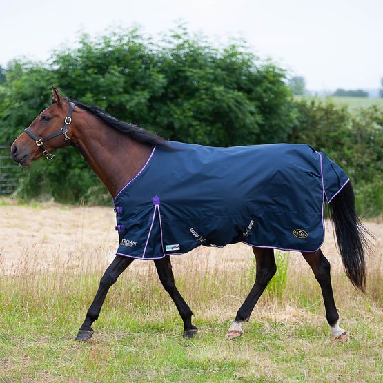 Gallop Trojan Duraproof 5-Point Std Lightweight Turnout Turnout Rug Navy