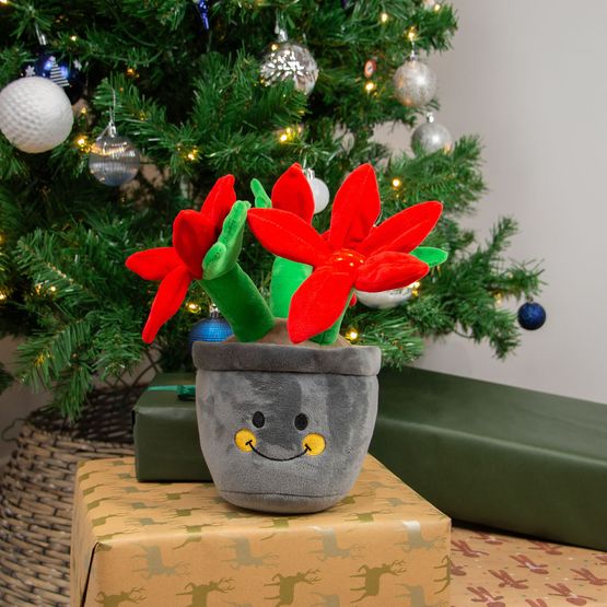 Ancol Henrietta Poinsettia