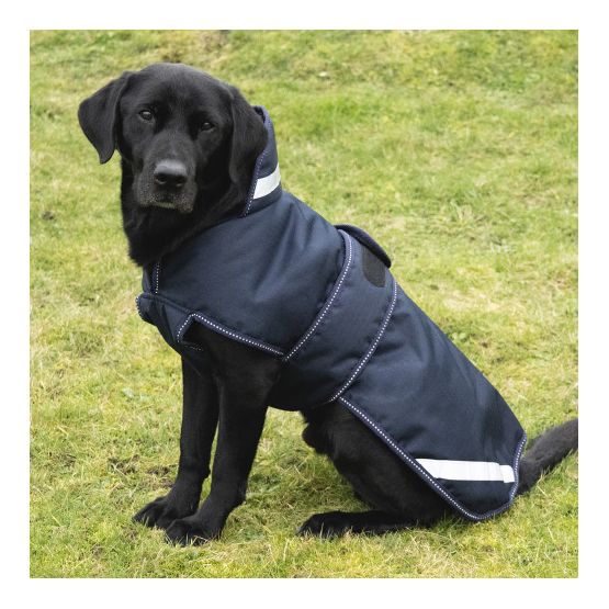 Benji &amp; Flo Waterproof Dog Coat