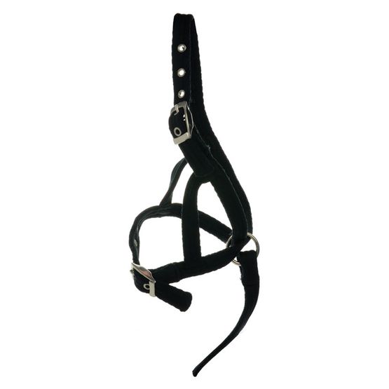 Hy Equestrian Foal Slip Halter