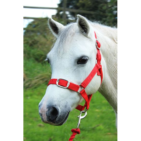Gallop Headcollar &amp; Lead Rope Set Red