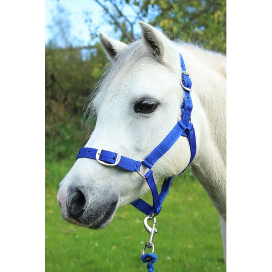 Gallop Headcollar &amp; Lead Rope Set Royal Blue