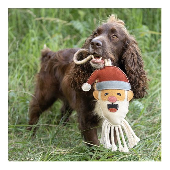 Benji &amp; Flo Christmas Dog Toys