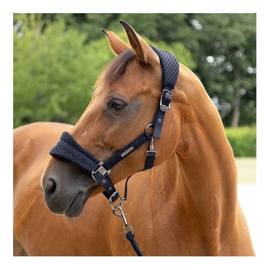 Coldstream Middleton Air Flow Head Collar &amp; Lead Rope