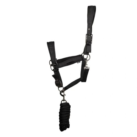 Coldstream Paxton Padded Head Collar &amp; Lead Rope