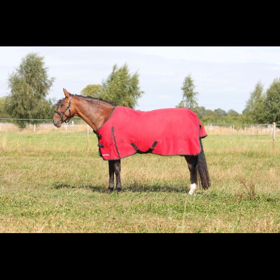 HyCONIC 200g Turnout Rug