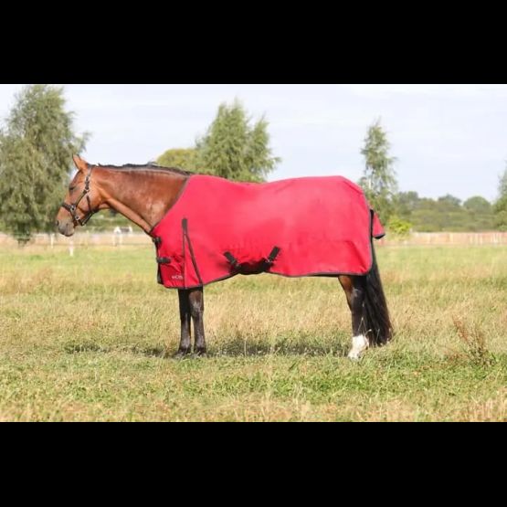 HyCONIC 50g Turnout Rug