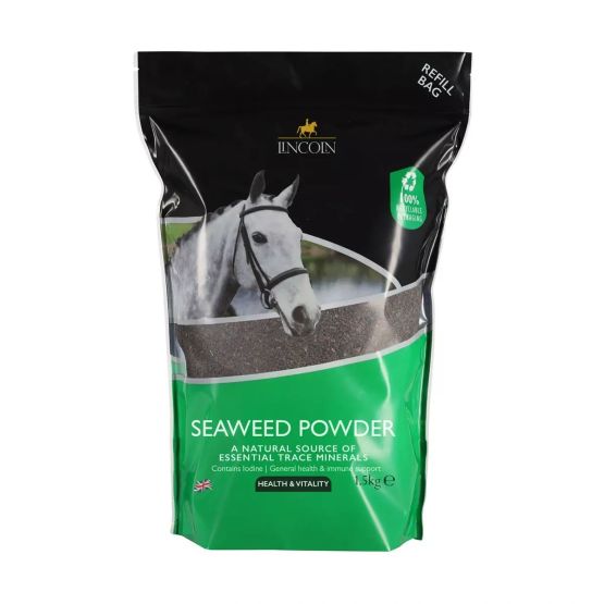 Lincoln Seaweed &amp; Garlic Refill Pouch