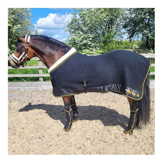 Supreme Products Royal Occasion Towel Rug