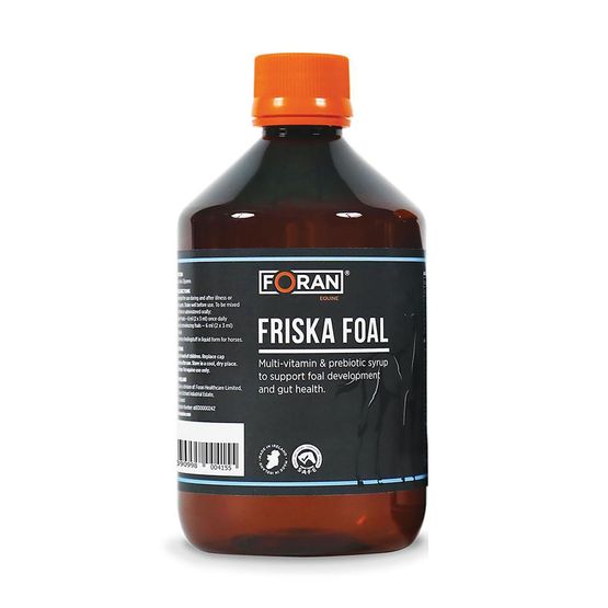 Foran Equine Friska Foal