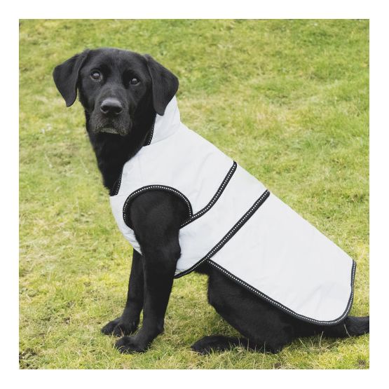 Benji &amp; Flo Silva Reflective Dog Coat