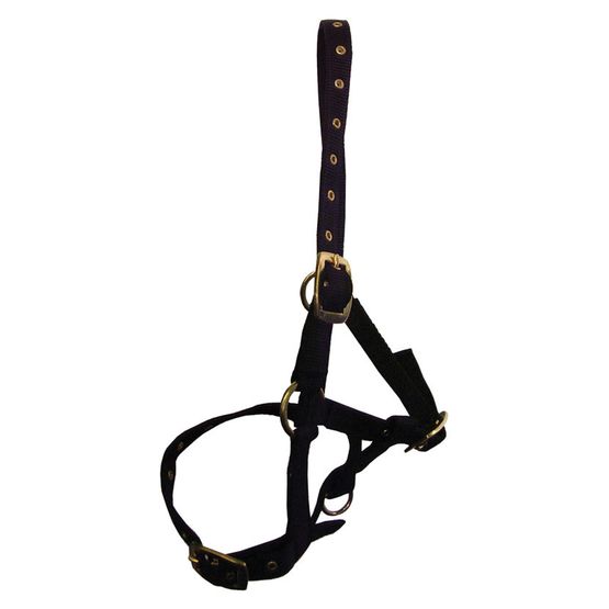 Hy Equestrian Foal Head Collar - One Size