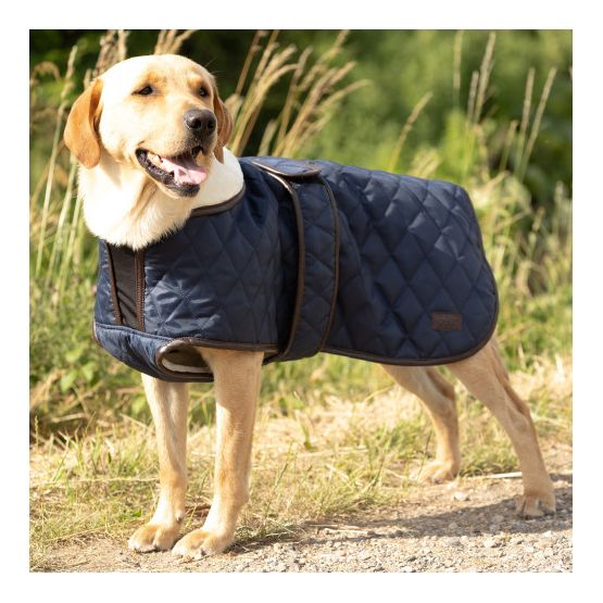 Benji &amp; Flo Teddy Quilted Dog Coat