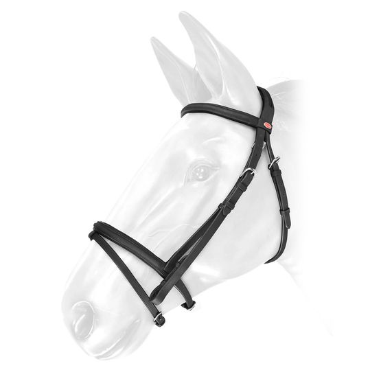 Whitaker Br054 Ready To Ride Leather Flash Bridle Black