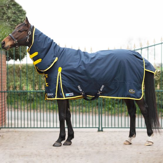 Gallop Trojan Duraproof 200g Turnout Combo Turnout Rug Navy