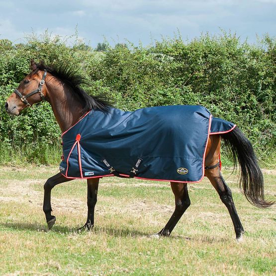 Gallop Trojan Duraproof 200g Turnout Turnout Rug Navy