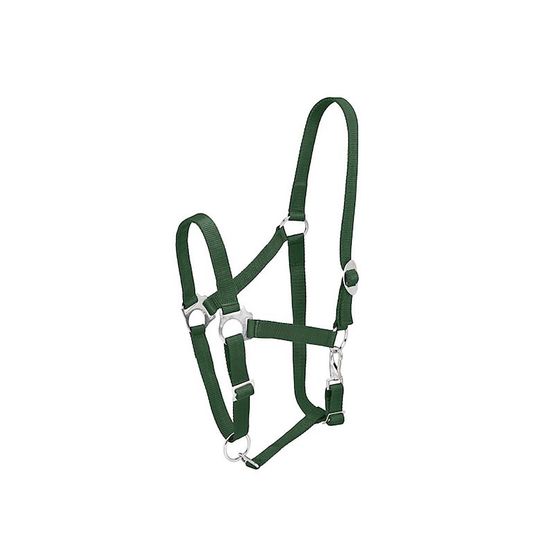 Firefoot Economy Adjustable Headcollar Green