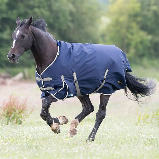 Gallop Trojan Duraproof 300g Turnout Turnout Rug Navy