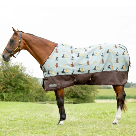 StormX Original It's A Dog's Life 0 Turnout Rug