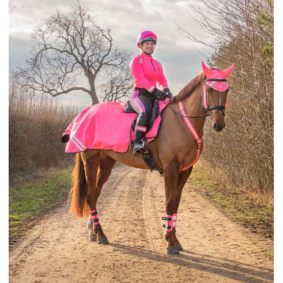 Reflector Thelwell Collection Tabard by Hy Equestrian