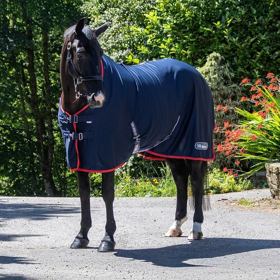 Whitaker R475 Rastrick V2 Cooler Fug Cooler Rug Navy
