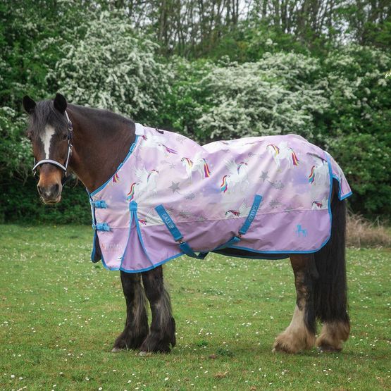 Gallop Trojan Duraproof Og Lightweight Turnout Turnout Rug Pegacorn