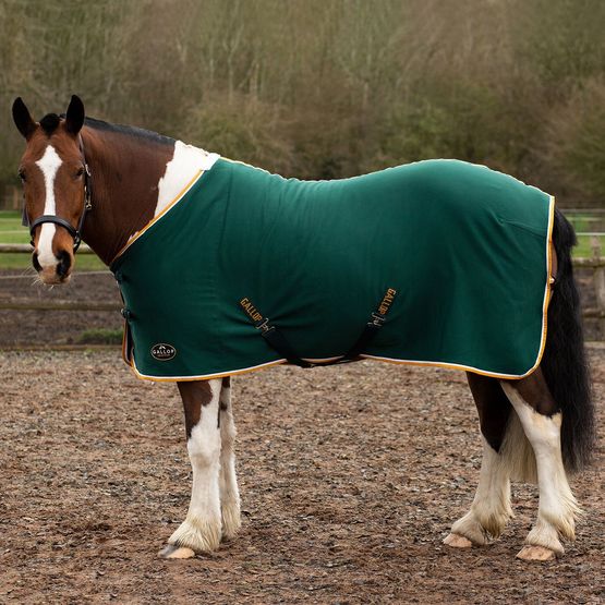 Gallop Ponie Tiddlywinks Jersey Cooler Rug Green/Wht/Yellow Green/White/Yellow