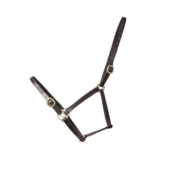 Hy Equestrian Leather Foal Headcollar Brown