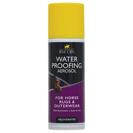 Lincoln Waterproofing Aerosol