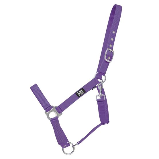 Hy Equestrian Economy Plus Headcollar Purple