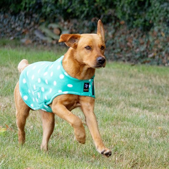 Supreme Products Dotty Fleece Dog Coat Gorgeous Green