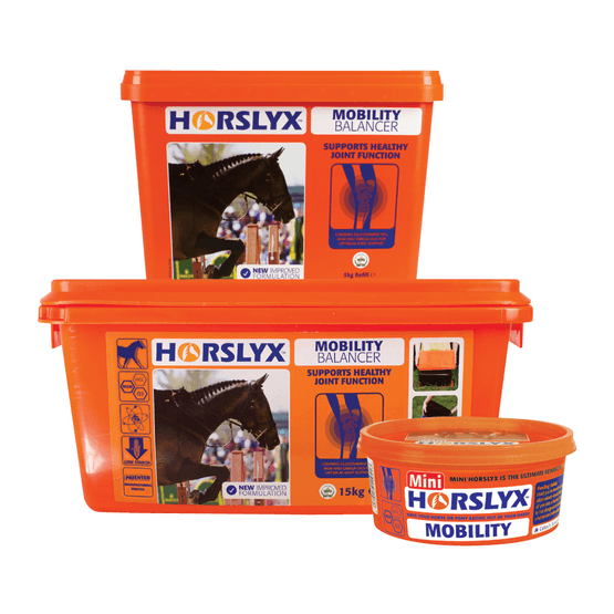 Horslyx Mobility Balancer Lick