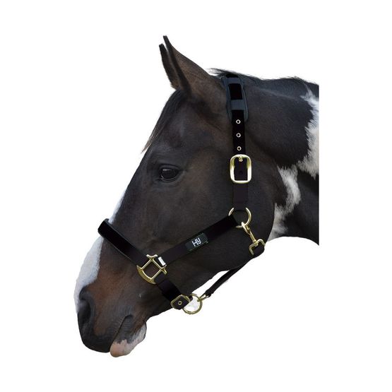 Hy Deluxe Padded Head Collar - Black