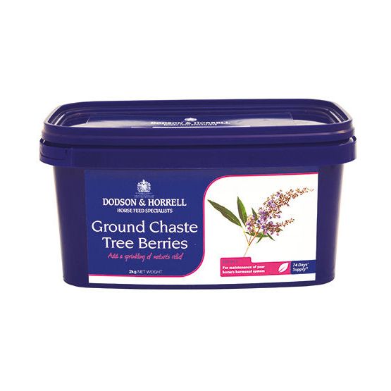 D&amp;H Ground Chaste Tree Berries - 2kg