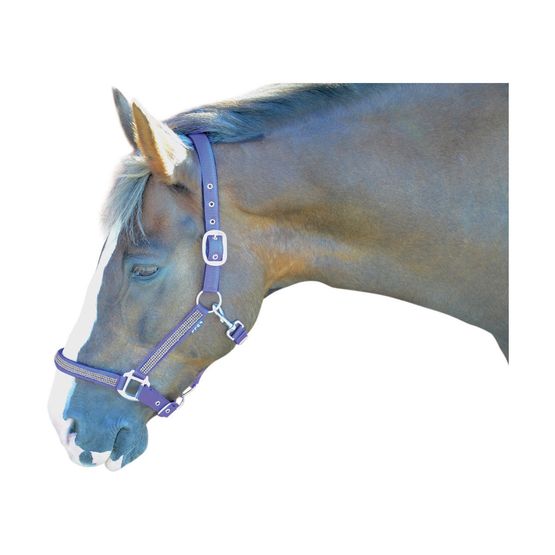 Hy Diamante Head Collar - Brilliant Blue/Diamante