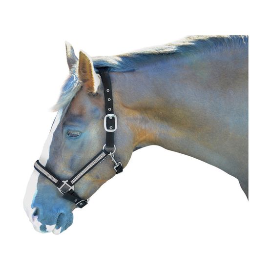 Hy Diamante Head Collar - Black/Diamante