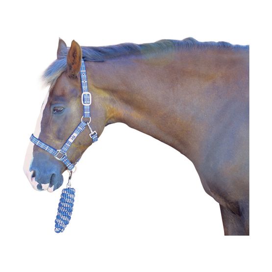 Hy Tartan Head Collar with Lead Rope - Navy/White/Blue