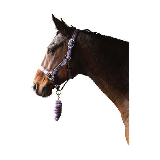 Hy Tartan Head Collar with Lead Rope - Purple/Grey/Lilac