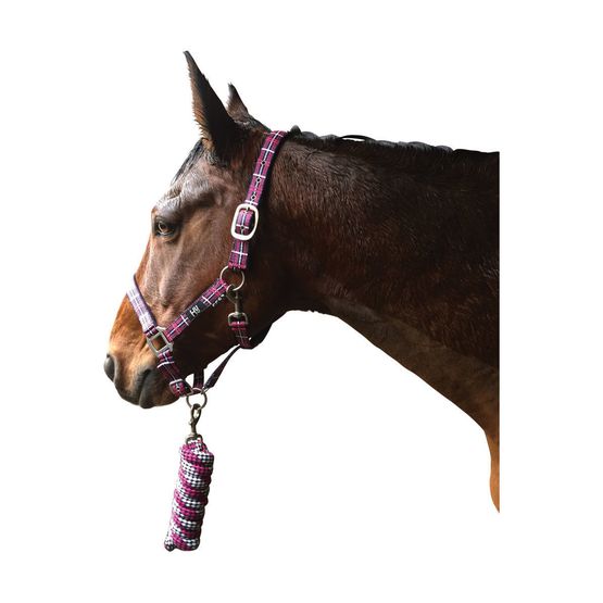 Hy Tartan Head Collar with Lead Rope - Raspberry/White/Navy