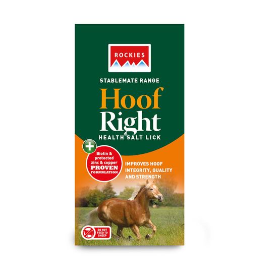 Rockies Hoof Right Salt Lick 10 x 2kg