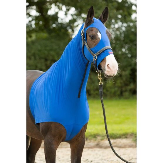 LeMieux Lycra Hood - Benetton Blue