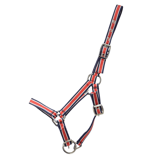 Hy Foal Plus Head Collar - One Size