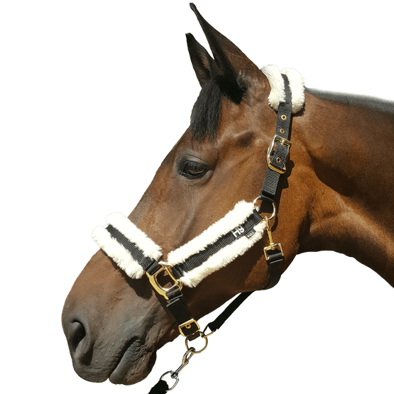 Hy Faux Sheepskin Head Collar - Black/Cream