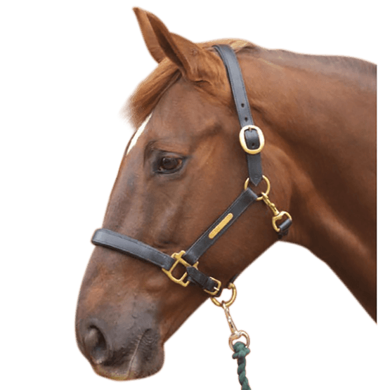 Hy Leather Head Collar - Brown