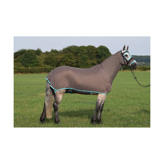 Belvoir Rug Company Honsie Original - Brown Polka Dot with Aqua Trim