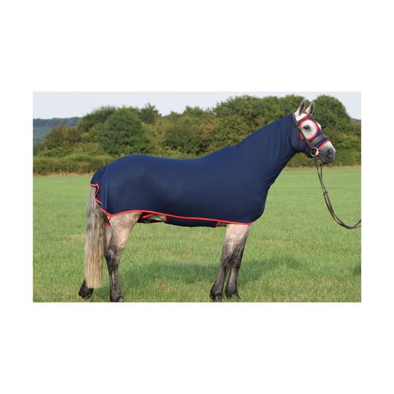 Belvoir Rug Company Honsie Life - Regal Navy with Red Trim