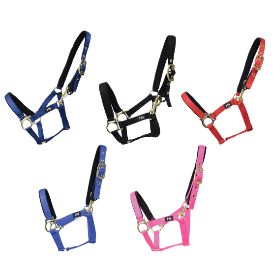 Hy Fieldsafe Small Pony &amp; Foal Head Collar